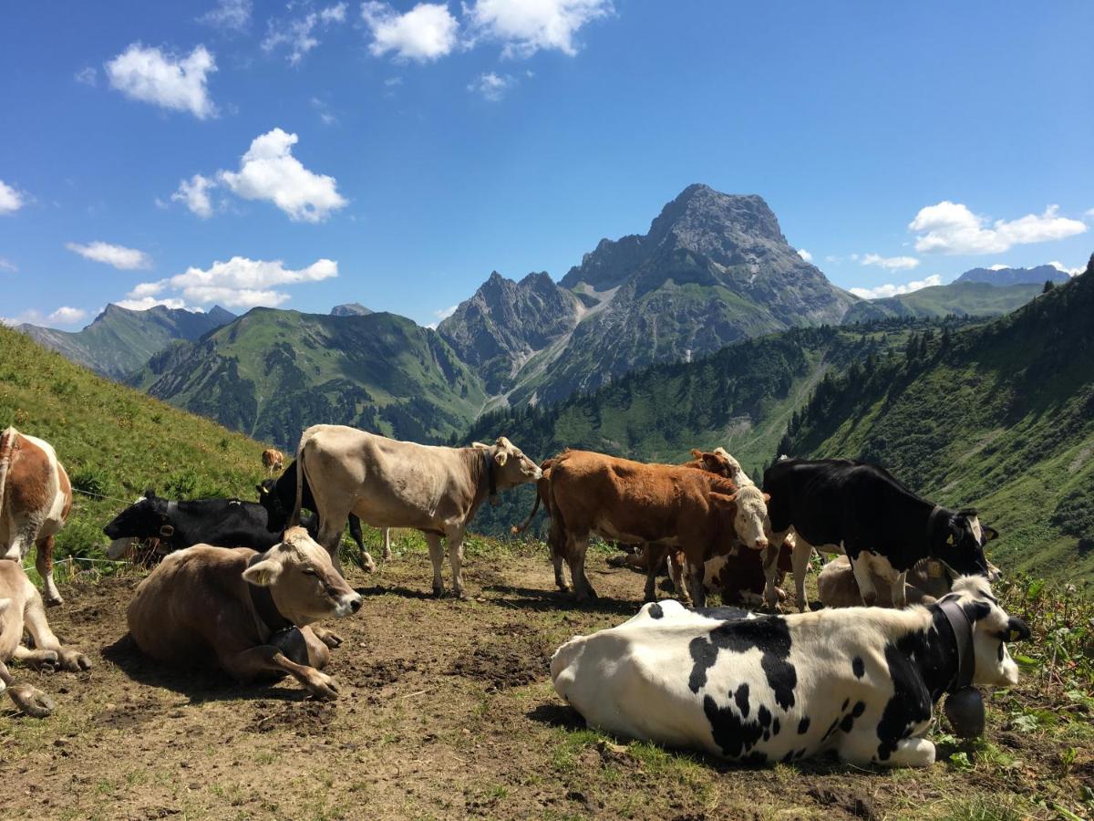 Falkenberg Mit Netflix Und Sommer-bergbahnticket Oberstdorf